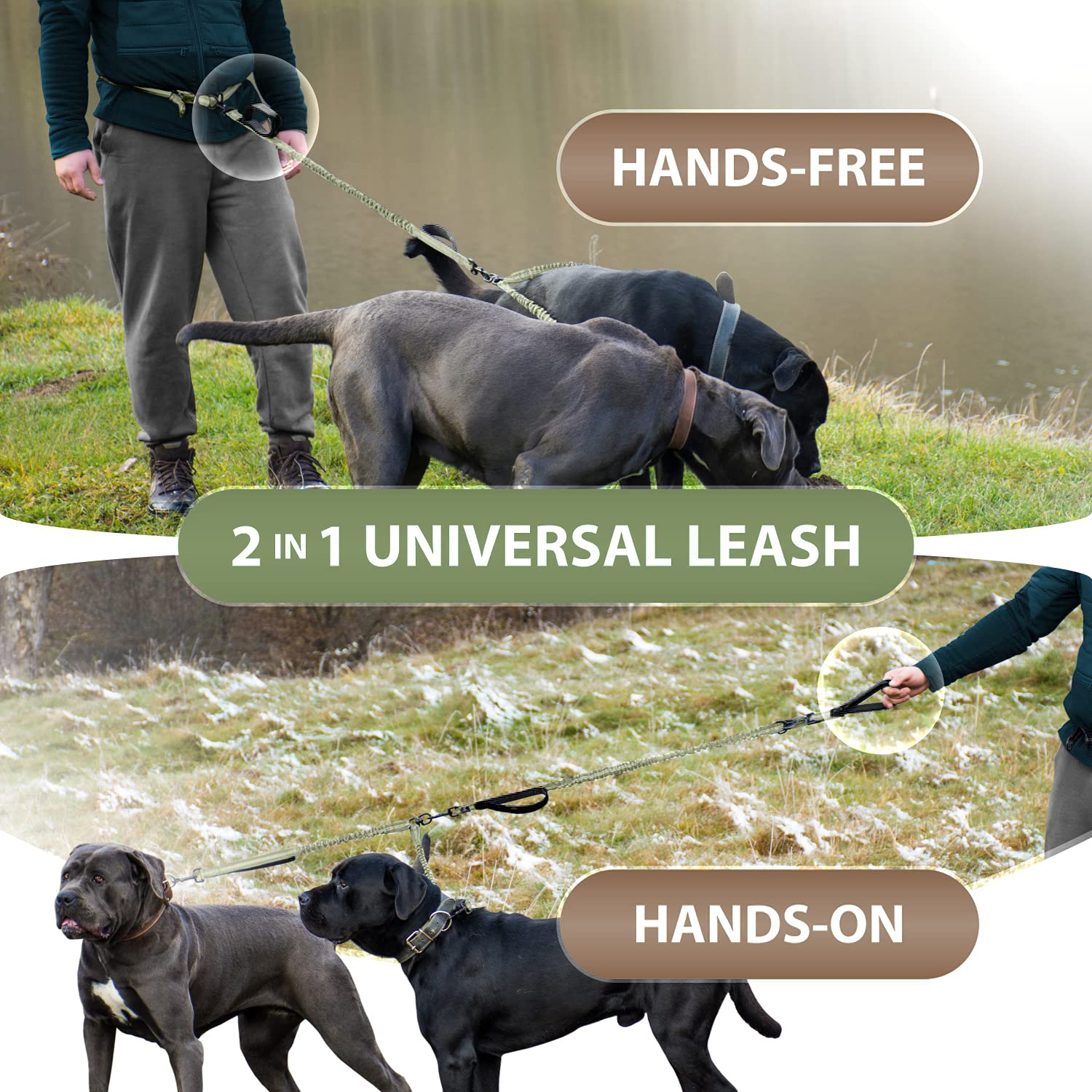 SparklyPets reflective stitches enhance visibility during dawn or dusk walks.