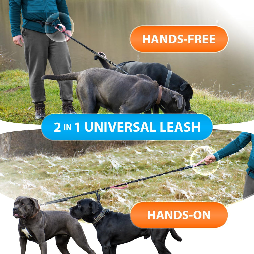 SparklyPets reinforced stainless steel clasps provide secure attachment during active sessions.