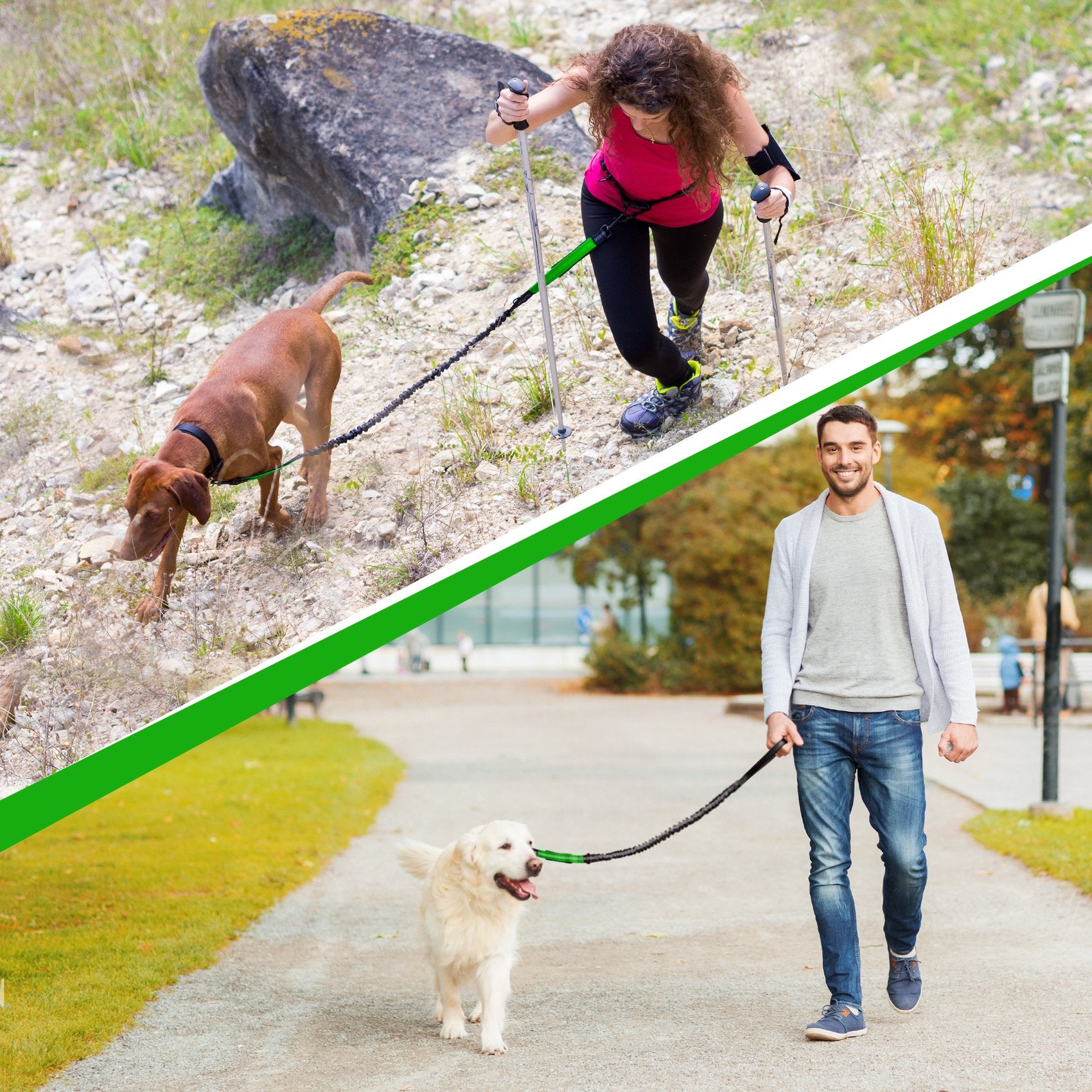 SparklyPets stainless steel security clips provide reliable restraint during quick movements