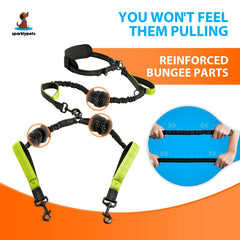 SparklyPets tangle-free swivel splitter keeps leashes moving smoothly.