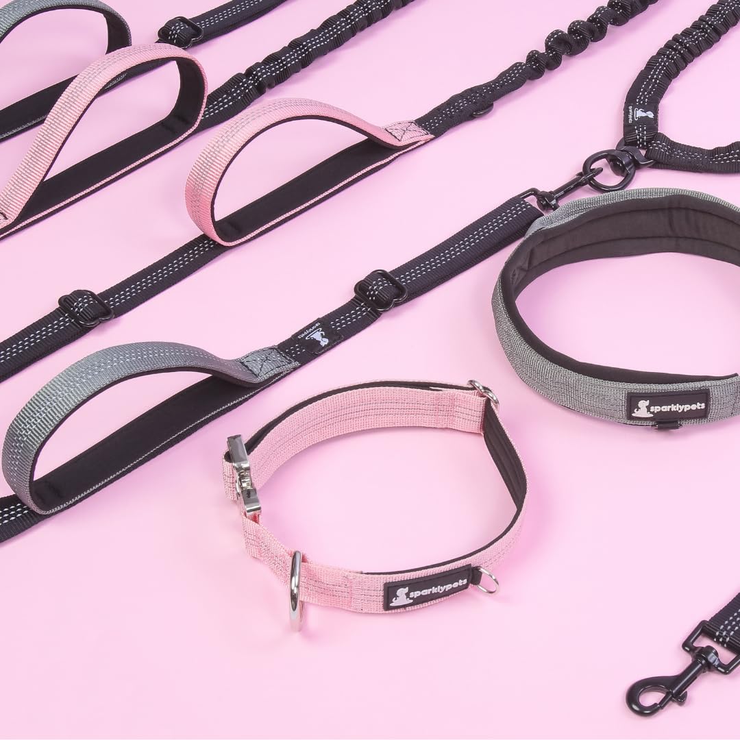 SparklyPets reflective stitching supports safe jogging in low light.