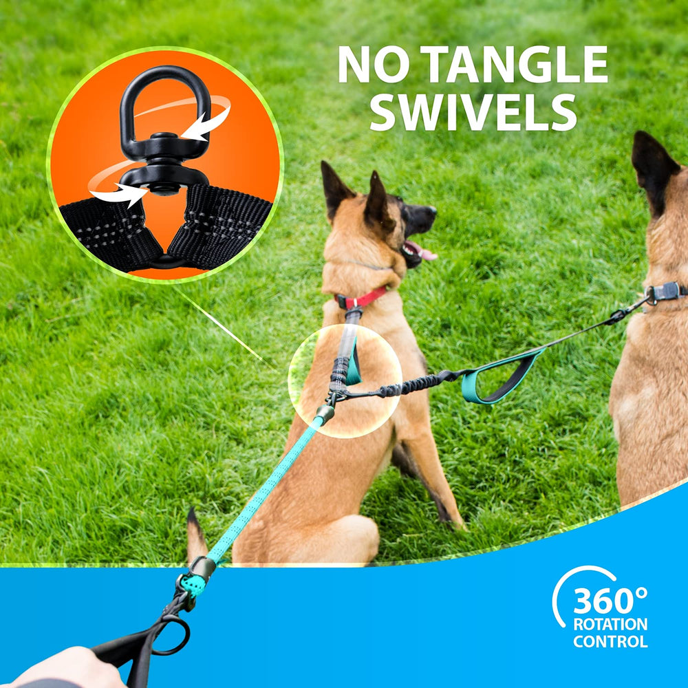 SparklyPets two-dog leash bungee usage shows shock-absorbent comfort during pulls.