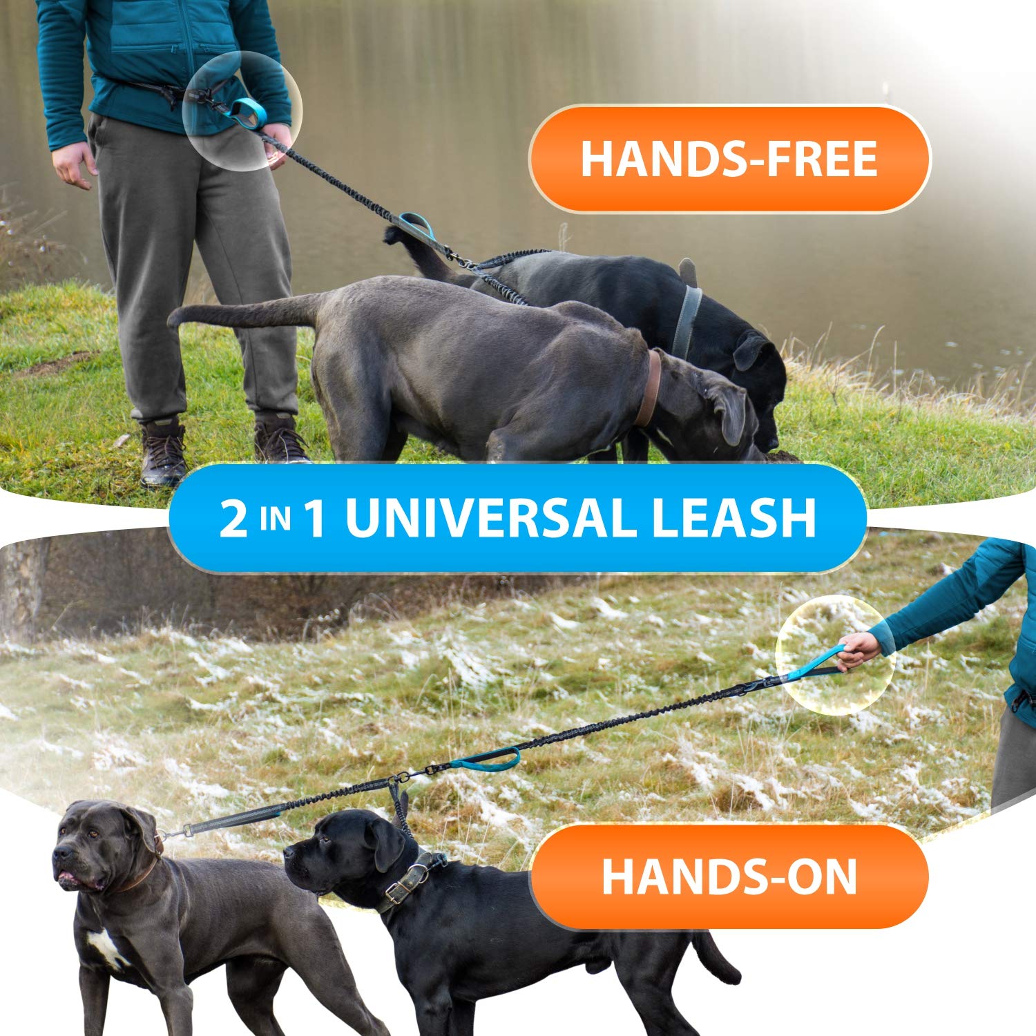 SparklyPets two-dog leash ideal for outdoor walks and park runs with coordinated pace.