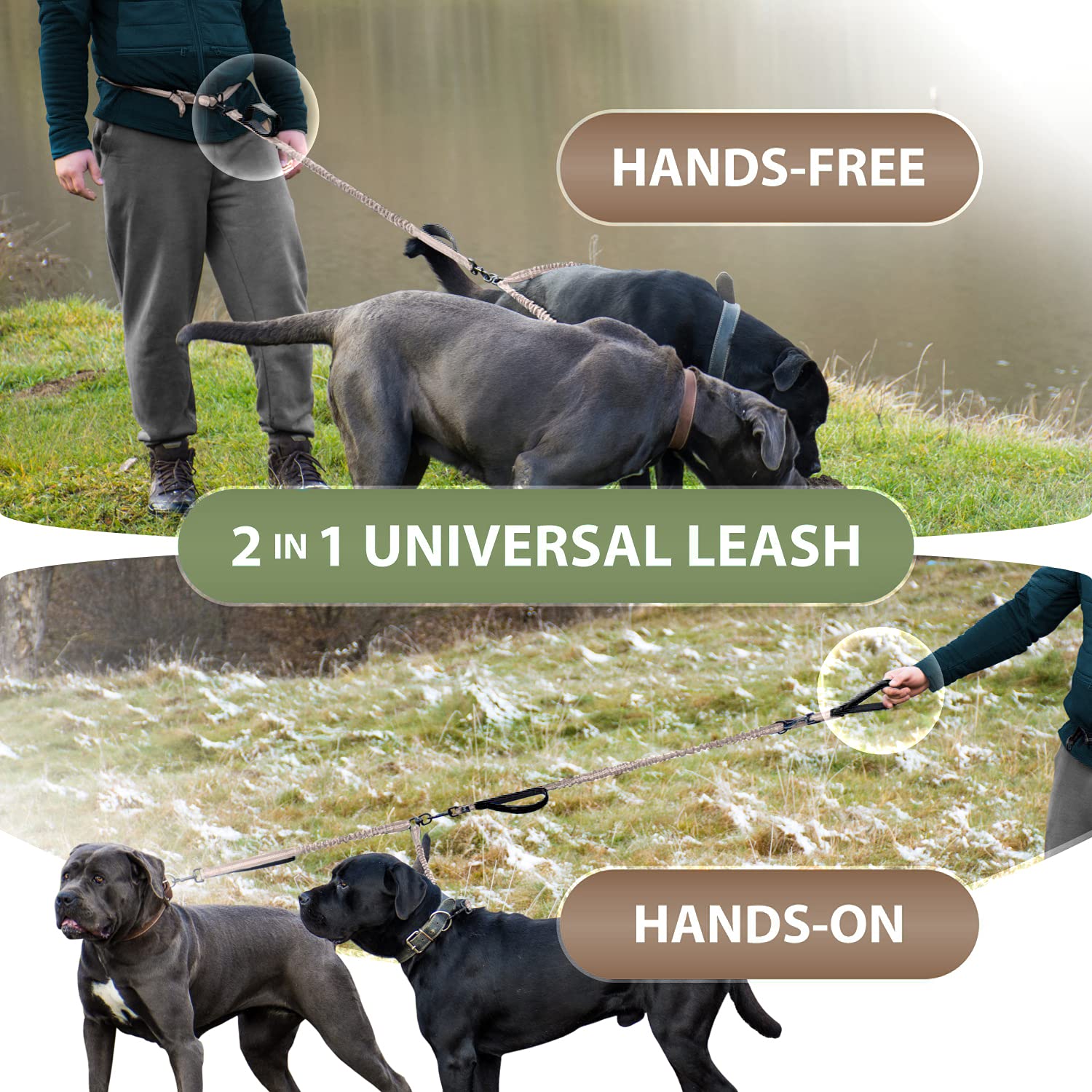 SparklyPets two dogs-walk setup demonstrates hands-free versatility for everyday outings.