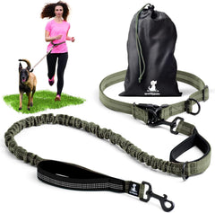 SparklyPets waist leash belt clip secures the fit while keeping hands free during runs