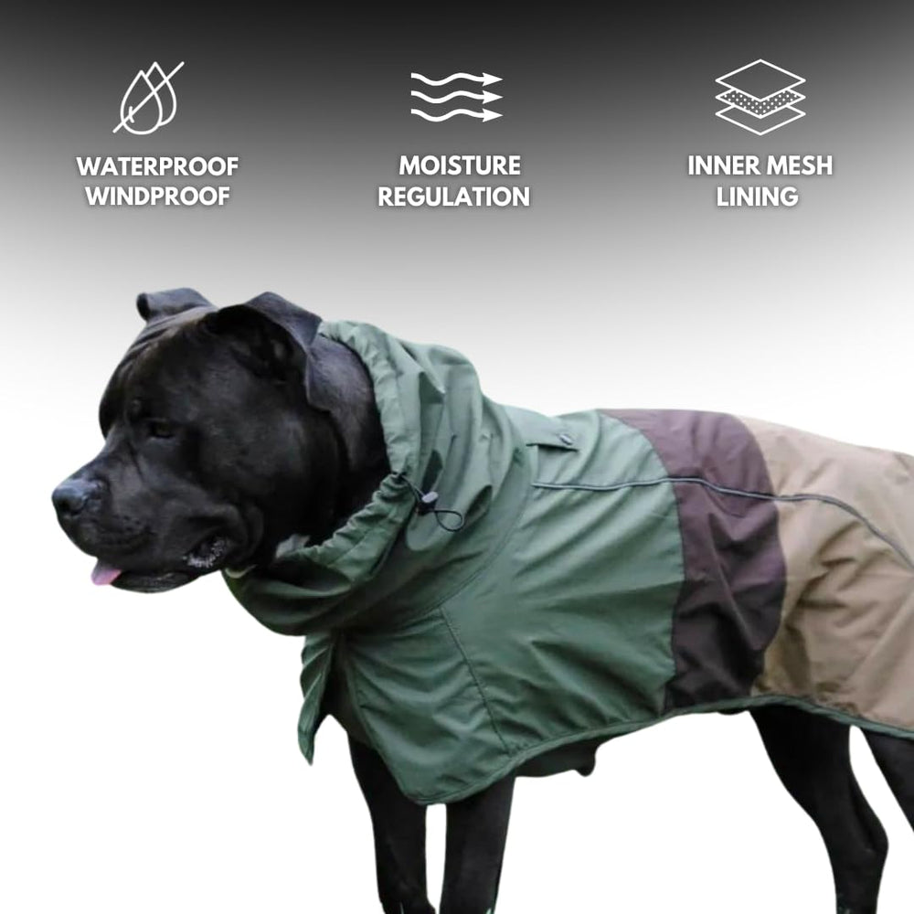 Spark Paws breathable mesh lining enhances comfort with better airflow.