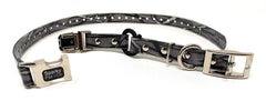 Sparky Pet Co bungee loop dog collar detail highlights secure, flexible performance during active play