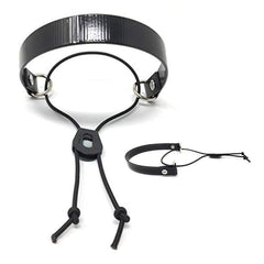 Sparky Pet Co eCollar replacement strap black Surefit, improves durability and comfort for daily use.
