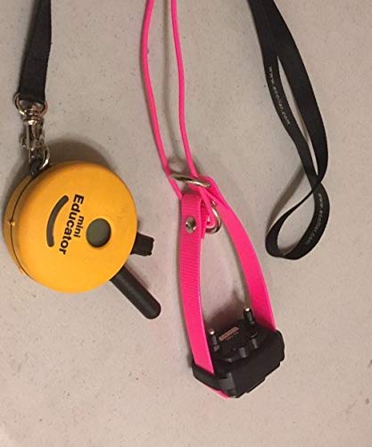 Sparky Pet Co Surefit eCollar replacement strap USA-made quality you can trust.