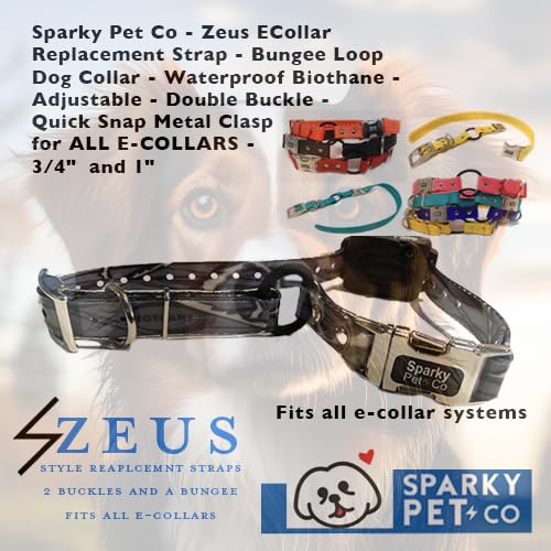 Sparky Pet Co Zeus ECollar strap blue bungee loop feature