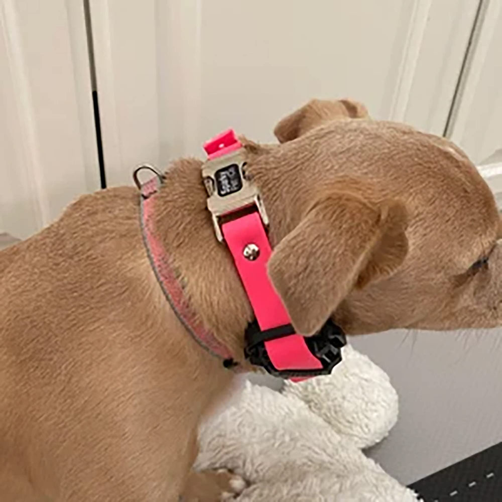 Sparky Pet Co Zeus ECollar strap quick snap clasp for easy removal