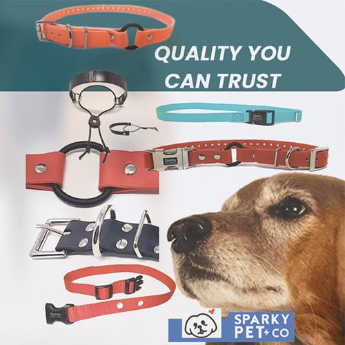 Sparky Pet Co Zeus ECollar strap care—wipe clean after adventures