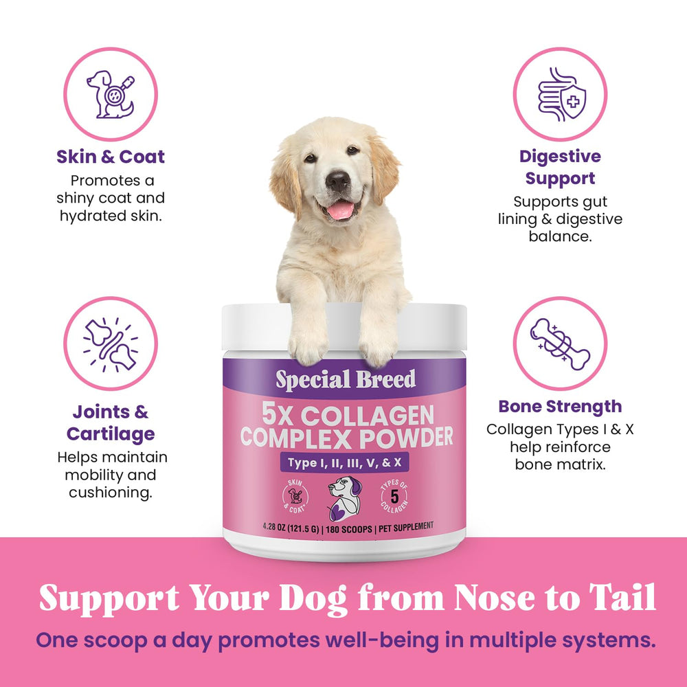 Special Breed bamboo extract and vitamin C components in powder for absorption