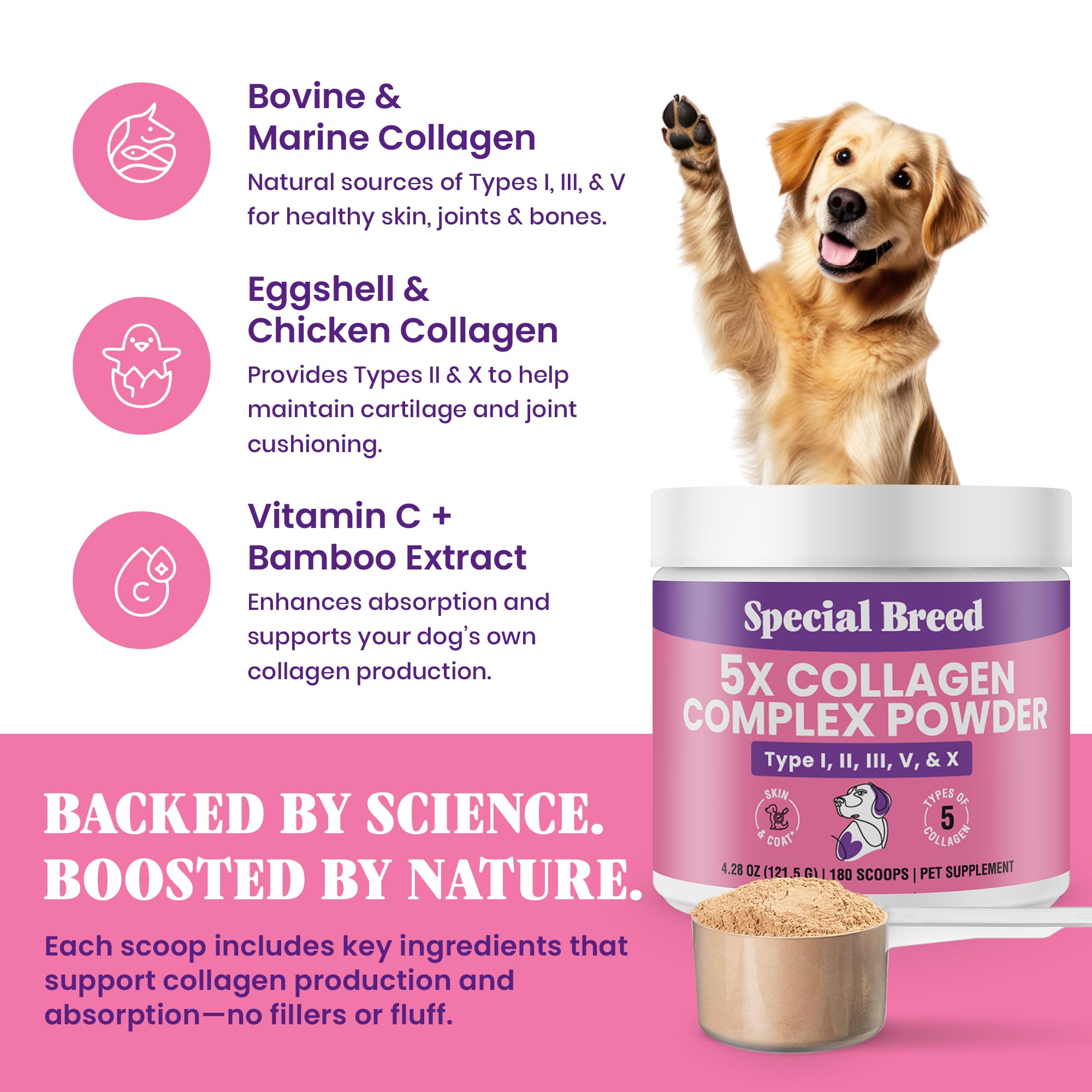 Special Breed 5X Collagen Powder mixed into dog food for daily nutrition