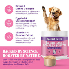 Special Breed 5X Collagen Powder mixed into dog food for daily nutrition