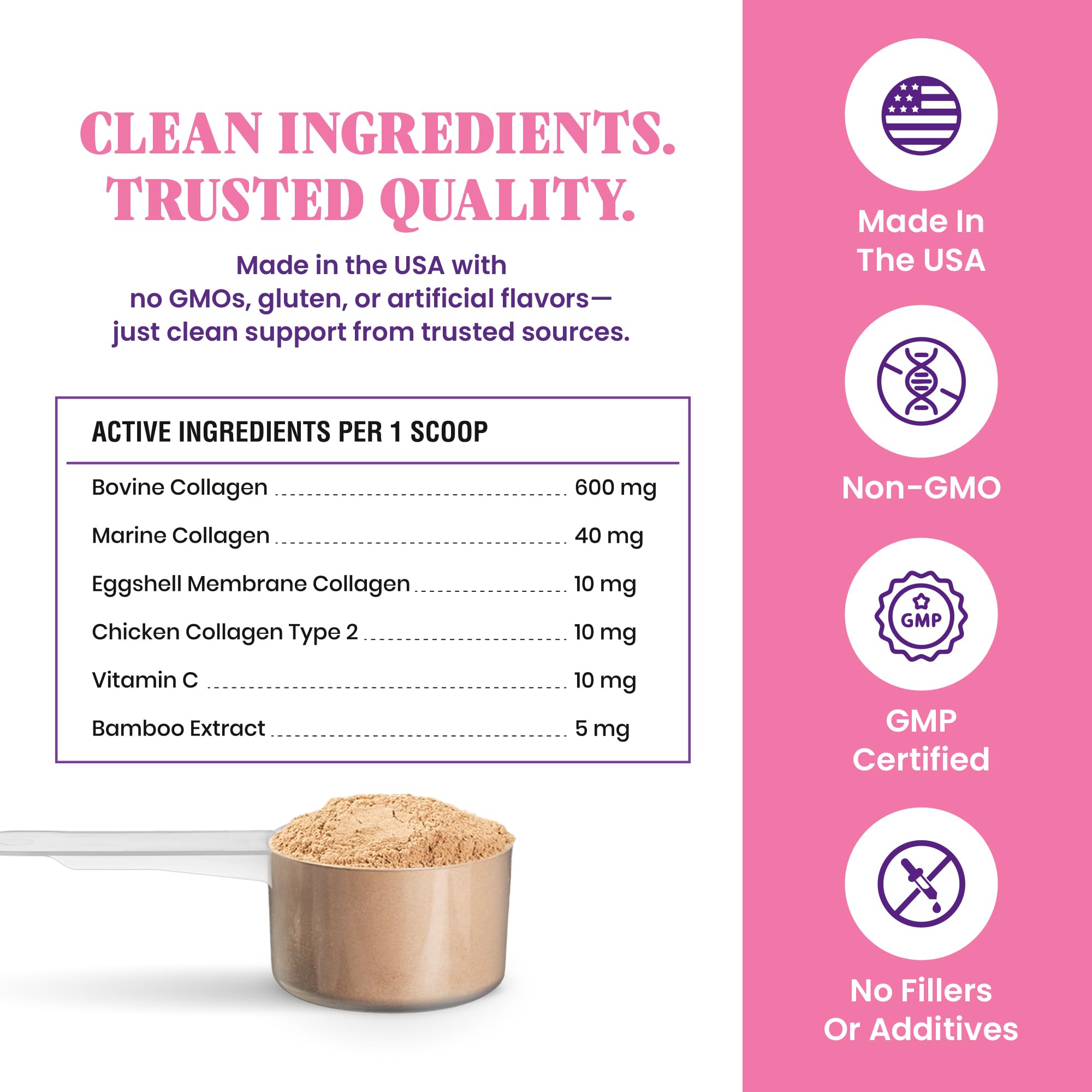 Special Breed 5X Collagen Powder scoop highlighting precise serving