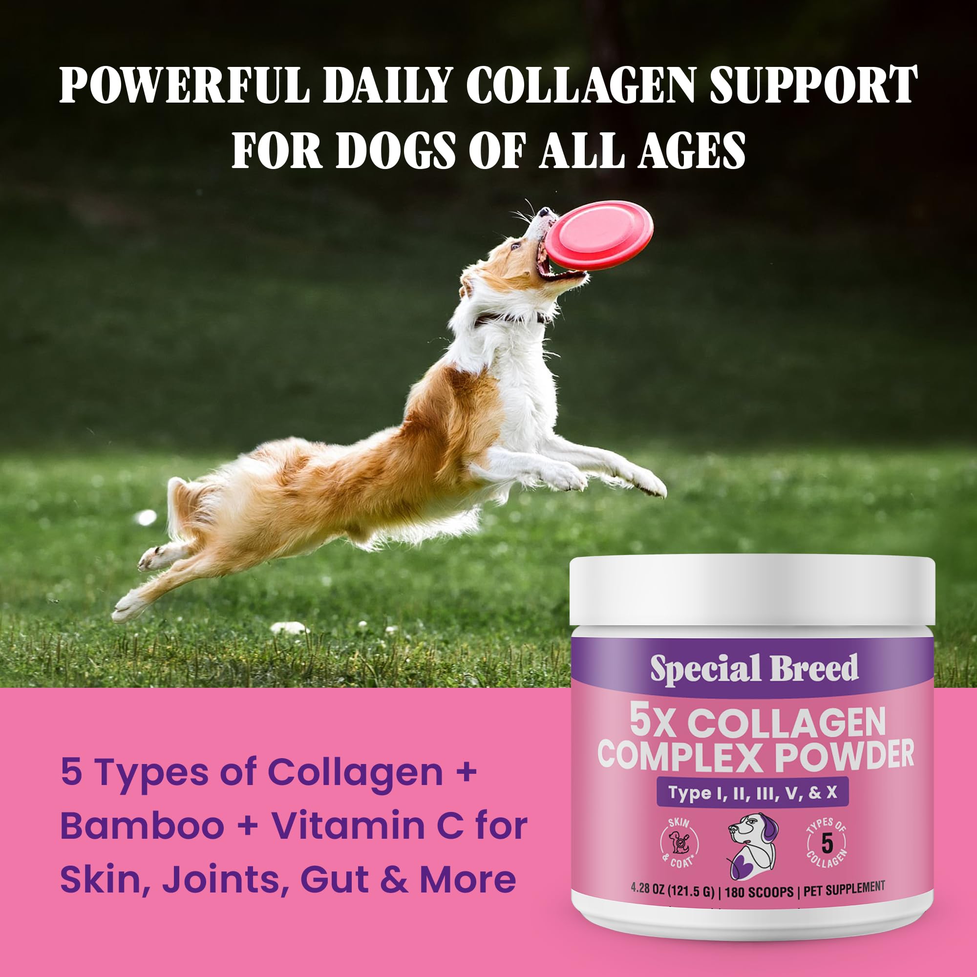 Special Breed 5X collagen types I-V-X illustrated for full-body support