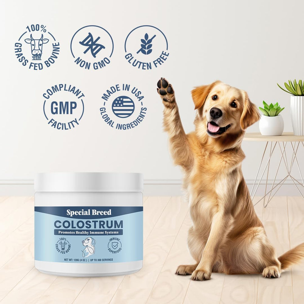 Special Breed seasonal allergy defense image suggesting comfort during allergy season