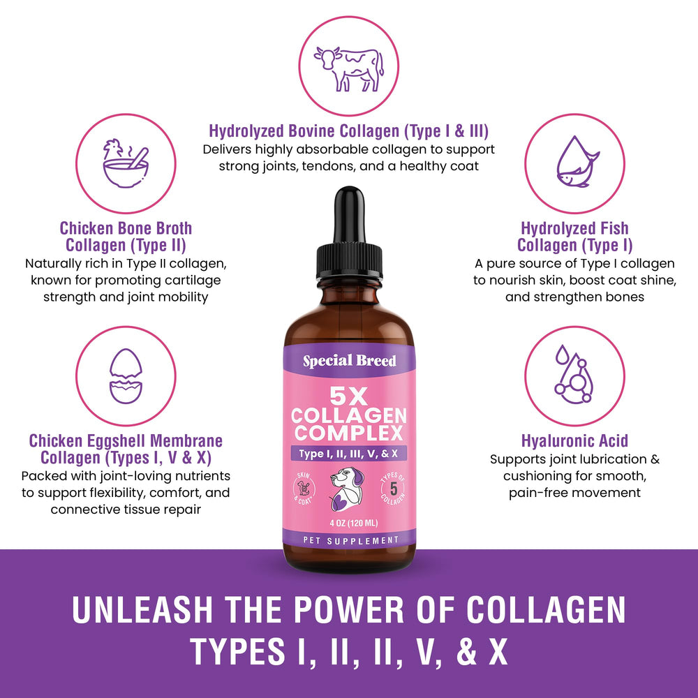 Special Breed collagen supports joints and mobility for active dogs