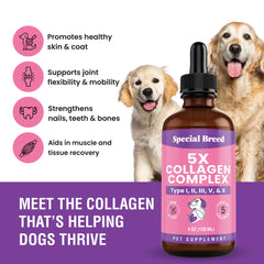 Special Breed collagen bottle next to dog's shiny skin and coat improvement