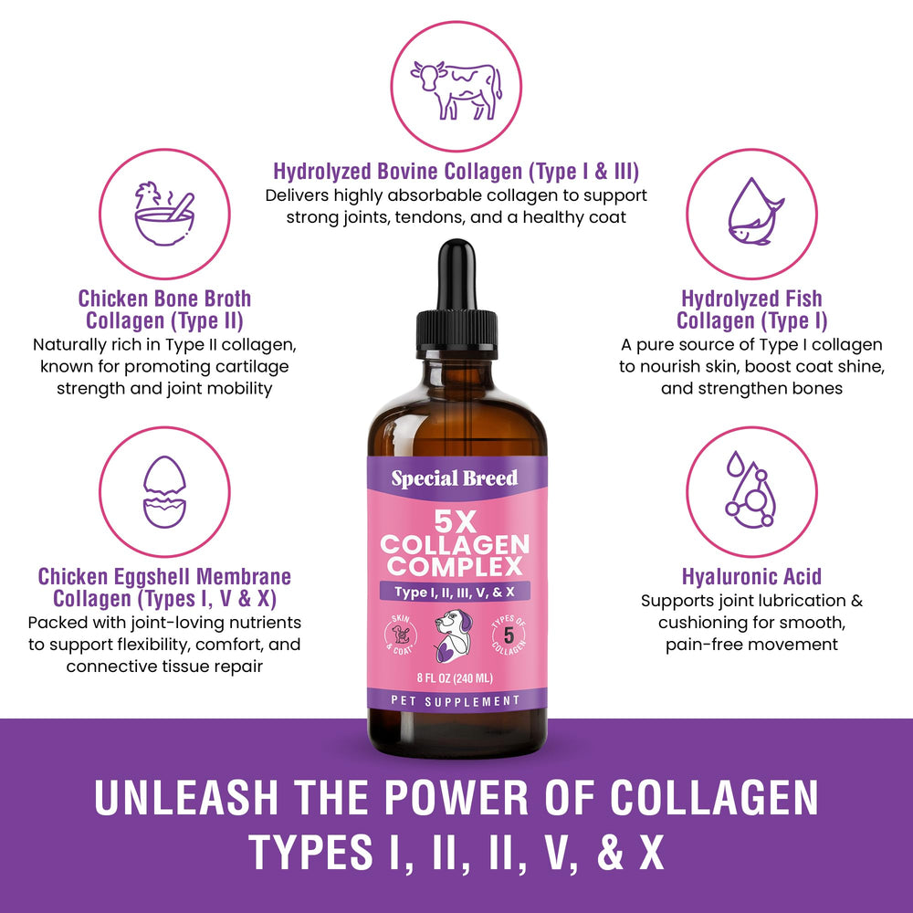 Special Breed Collagen for Dogs skin and coat glow indicating radiant coat health