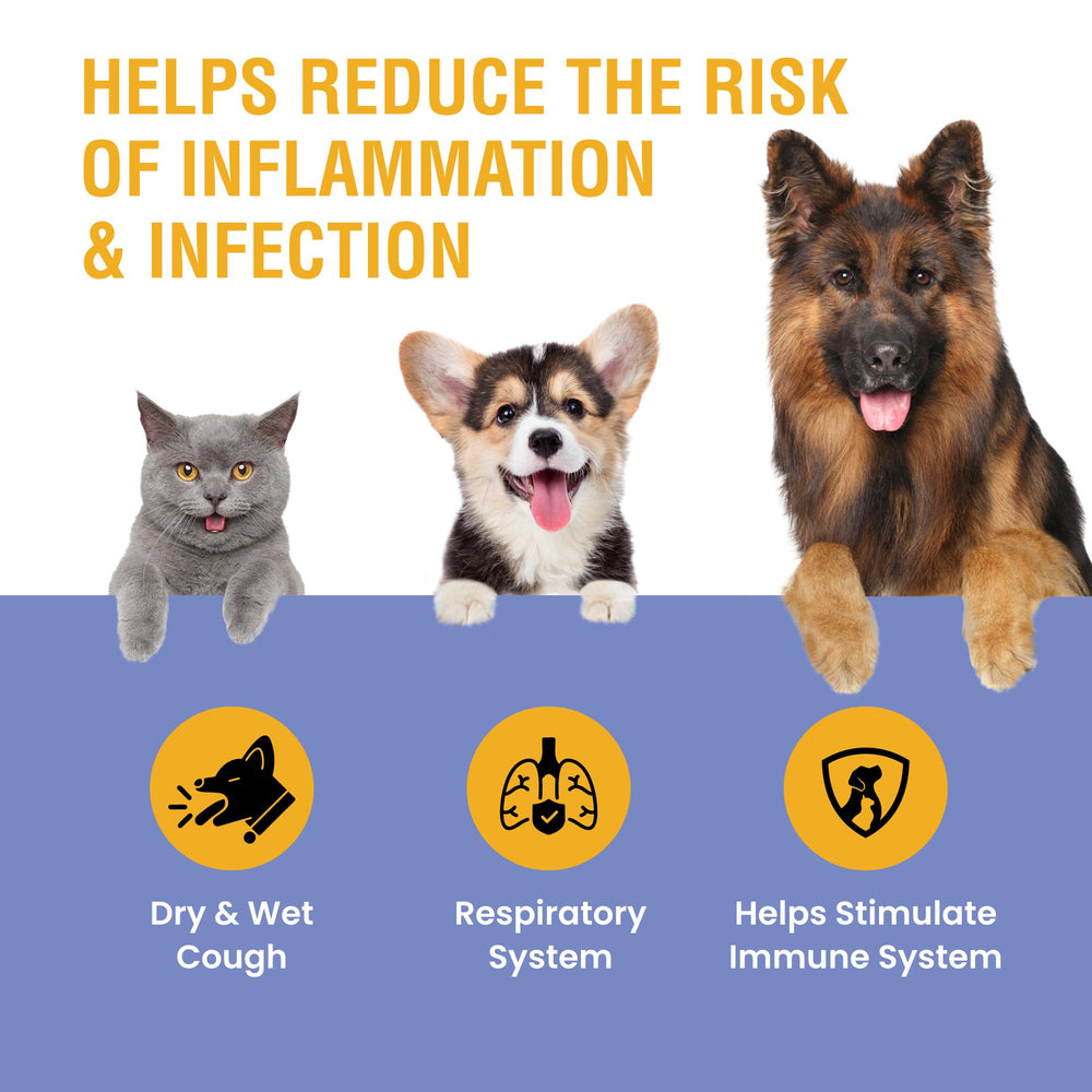 Special Breed cough support for cats provides gentle, easy daily dosing.