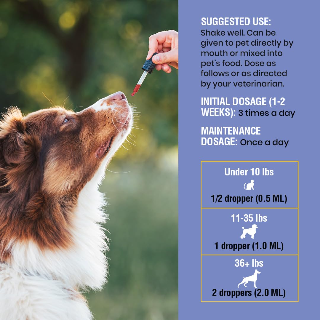 Special Breed cough support packaging 2oz bottle is travel-friendly.