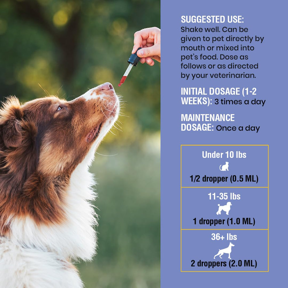 Special Breed cough support packaging 2oz bottle is travel-friendly.
