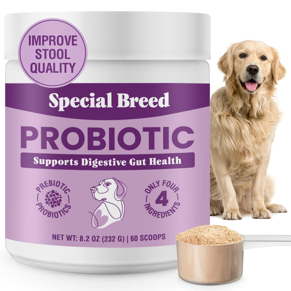 Special Breed dog probiotics powder tub front highlighting premium blend for digestive health and immune support.