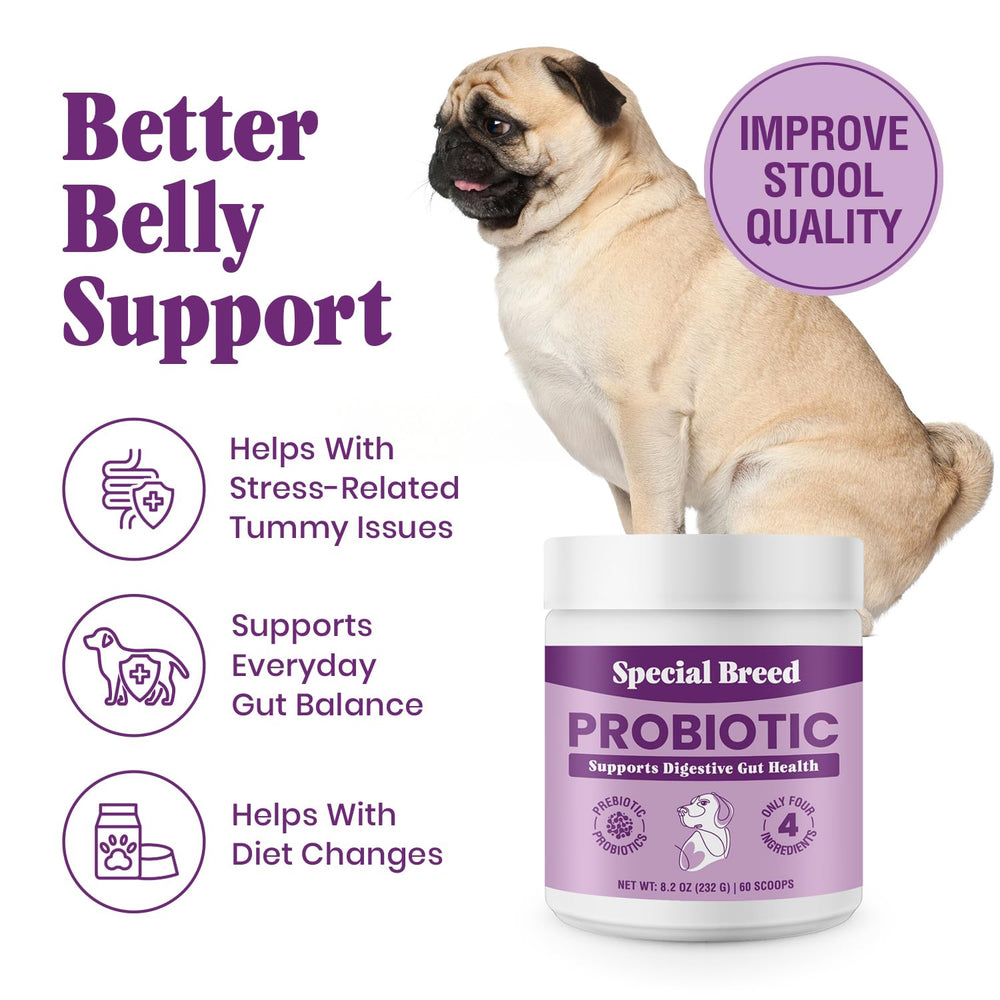 Special Breed dog probiotics scoop pour image demonstrating easy administration and precise dosing.