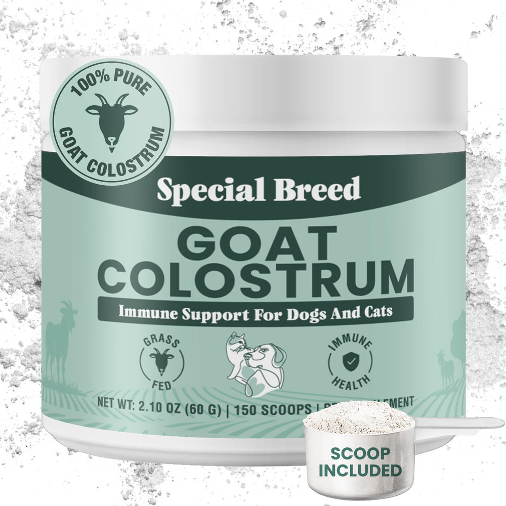 Special Breed Goat Colostrum Powder bottle supports immune health for dogs and cats.