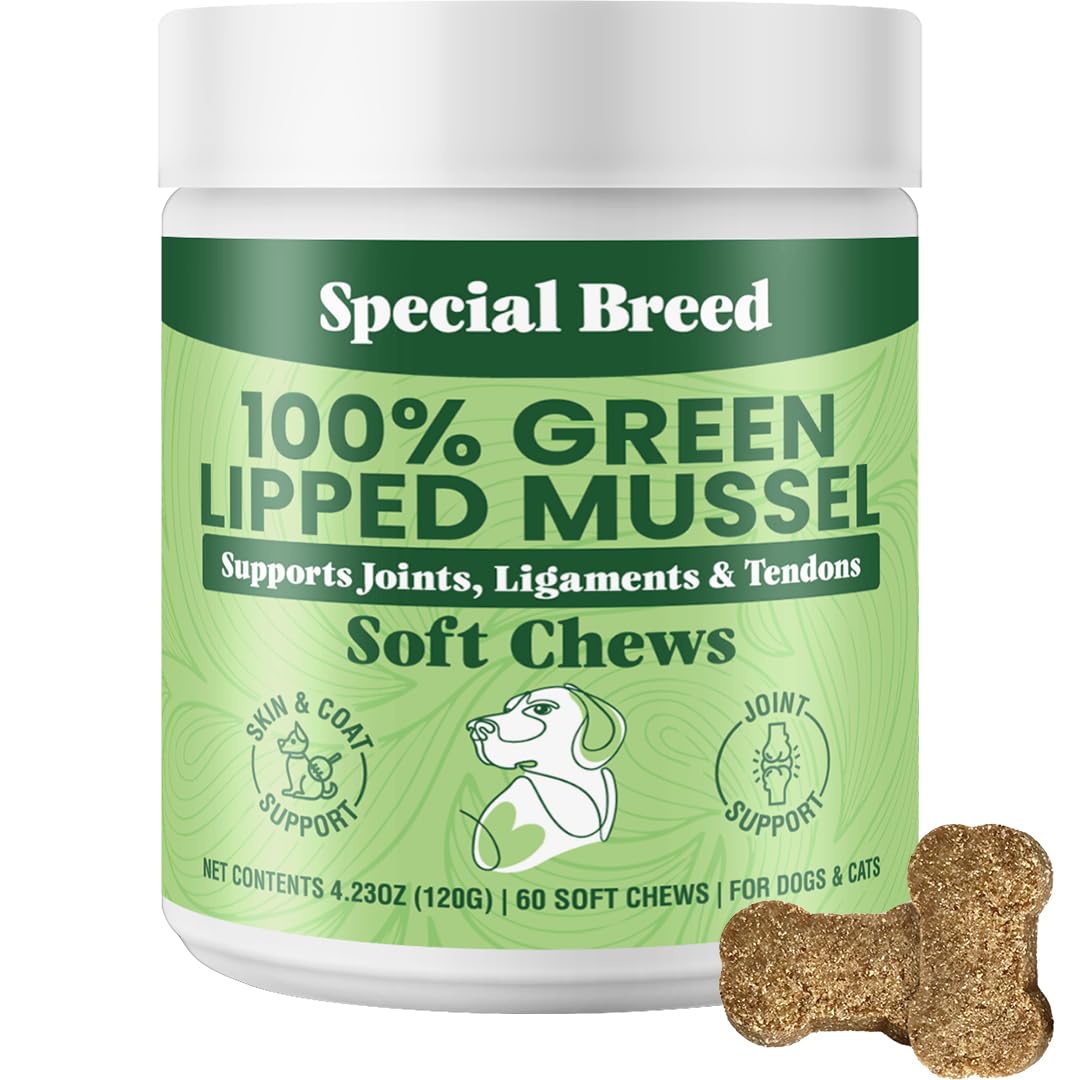 Special Breed Green Lipped Mussel chews bottle offers easy daily joint support for pets.
