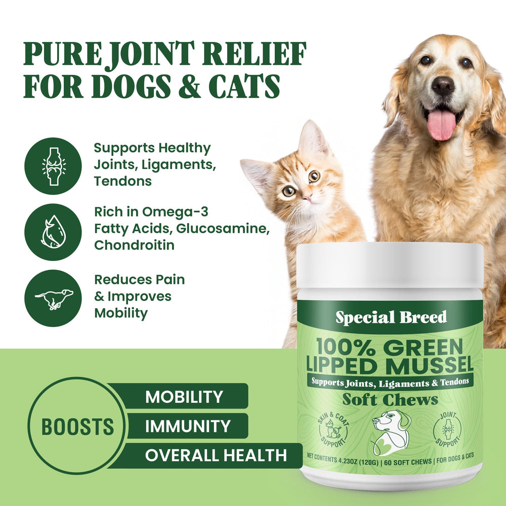 Special Breed Green Lipped Mussel chews close-up highlighting tasty texture for ongoing joint comfort.