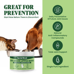 Special Breed powder in cat bowl illustrating feline joint wellness