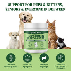 Special Breed Green Lipped Mussel Powder cat serving promotes feline joint wellness and mobility