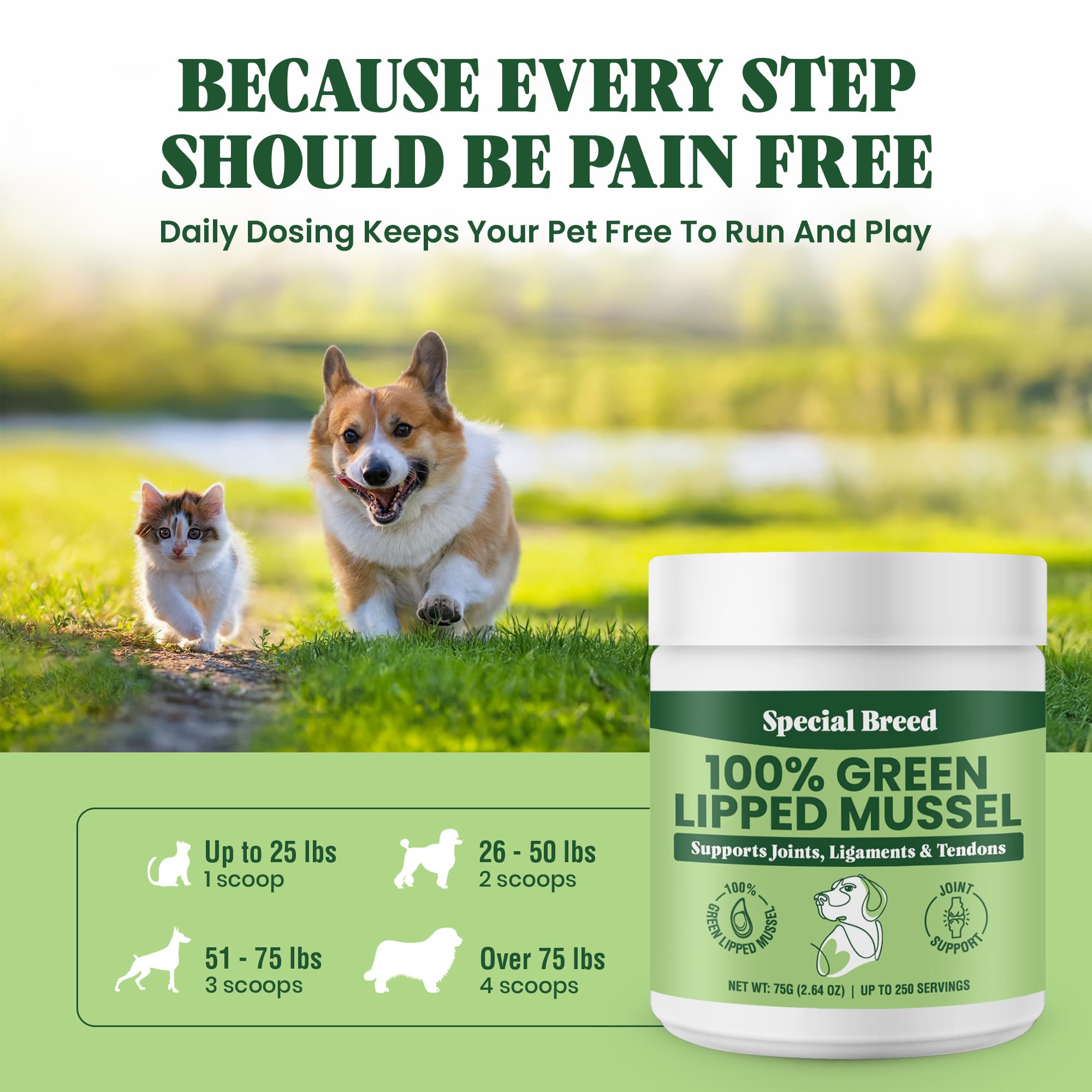 Special Breed Green Lipped Mussel Powder cat-wellness setting suggests simple add-on for feline joints.