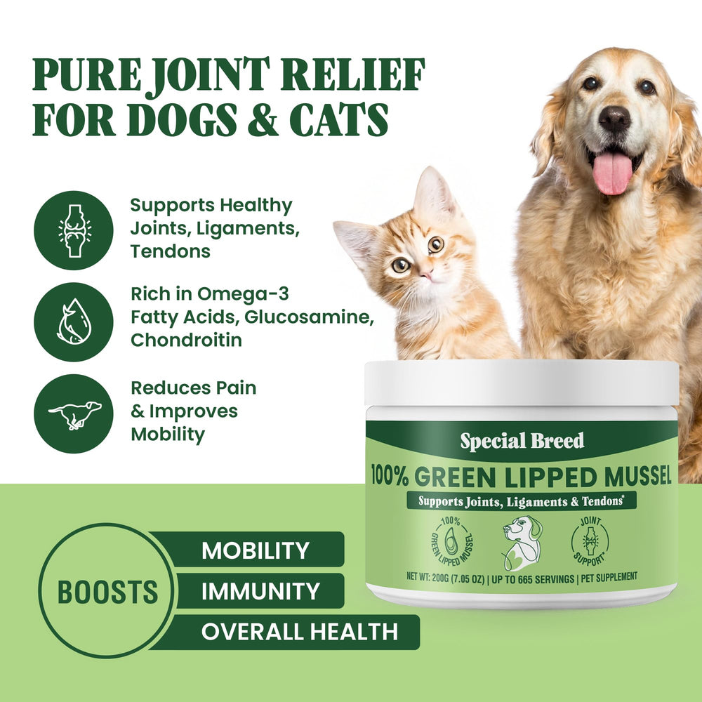 Special Breed powder poured into dog bowl for daily joint care