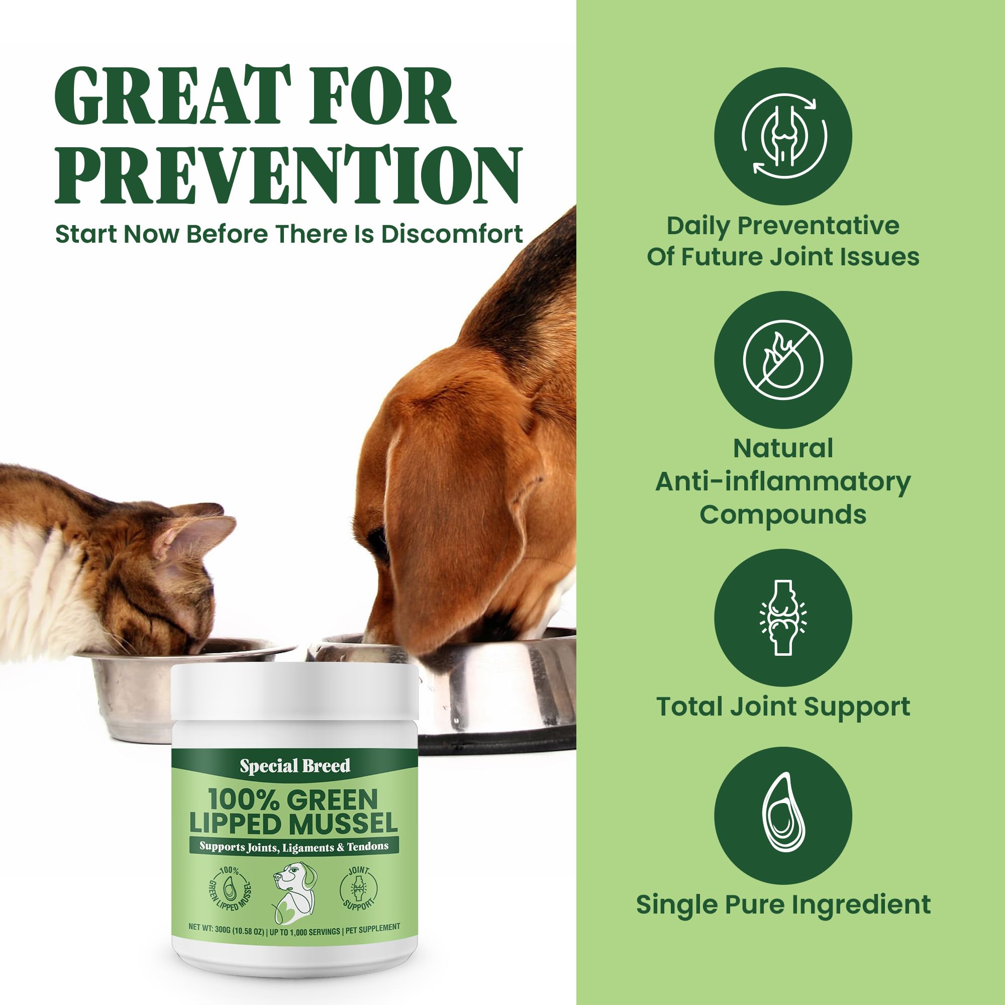 Special Breed Green Lipped Mussel Powder dog serving showcases easy daily mixing for active pets