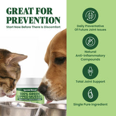Special Breed Green Lipped Mussel Powder ingredient closeup highlights natural New Zealand mussels for joints.