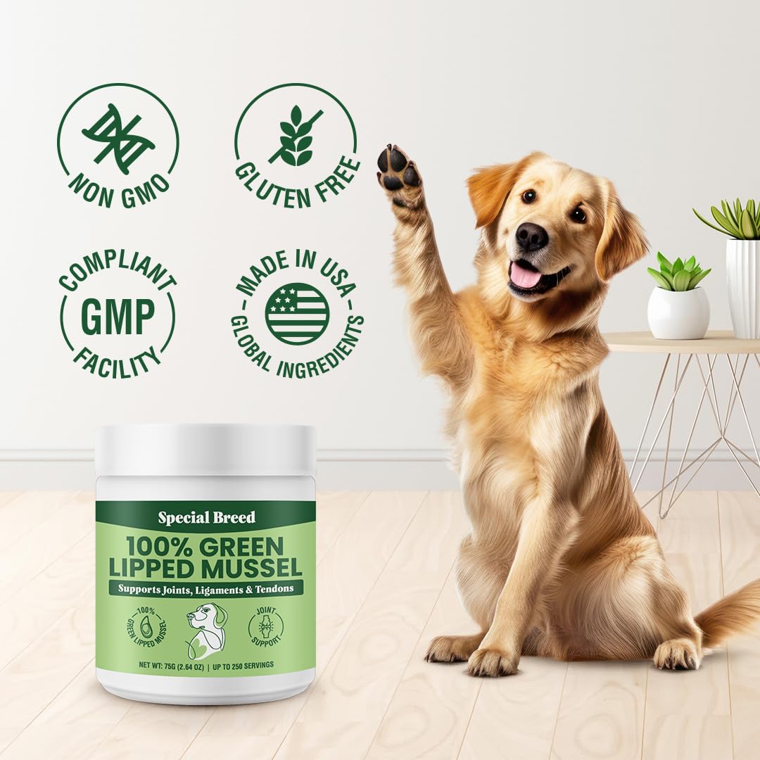 Special Breed Green Lipped Mussel Powder label-detail highlights 75 gram jar and up to 250 servings.