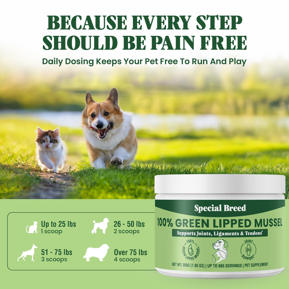 Special Breed measuring scoop with powder for easy dosing