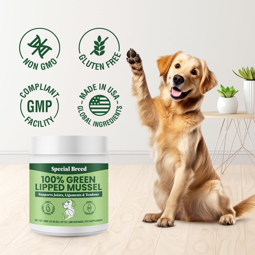 Special Breed Green Lipped Mussel Powder packaging emphasizes clean, natural ingredients