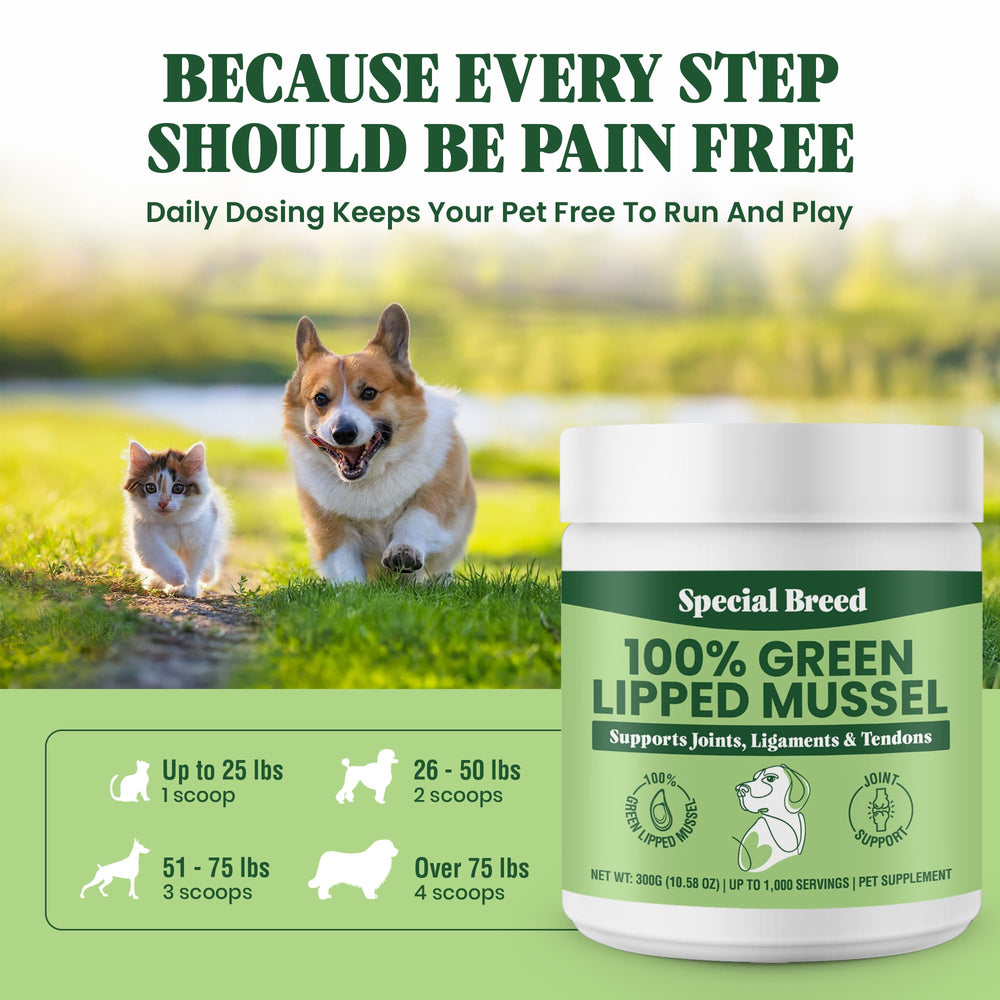 Special Breed Green Lipped Mussel Powder pour-dispense demonstrates convenient meal mixing