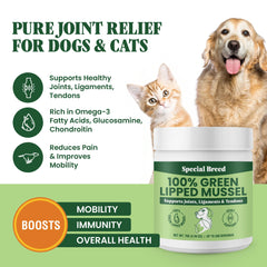 Special Breed Green Lipped Mussel Powder scoop shows easy daily servings for joint health.