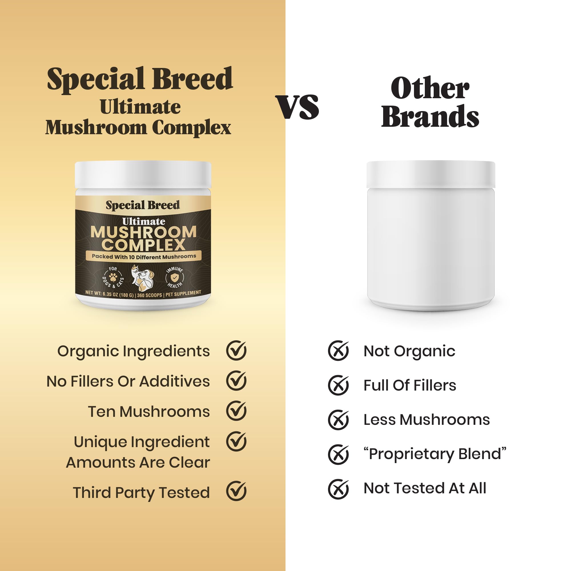 Special Breed mushroom powder mixed with cat food for cognition and vitality.