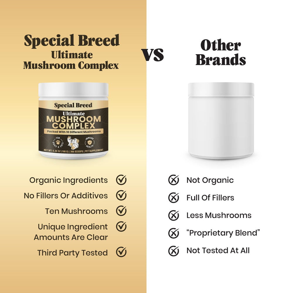 Special Breed mushroom powder mixed with cat food for cognition and vitality.