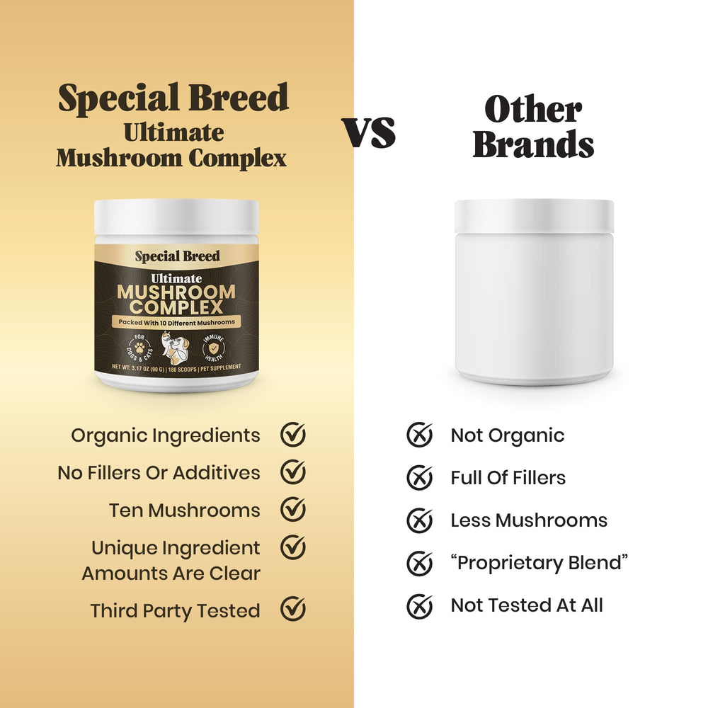 Special Breed powder added to cat food for convenient daily nutrition