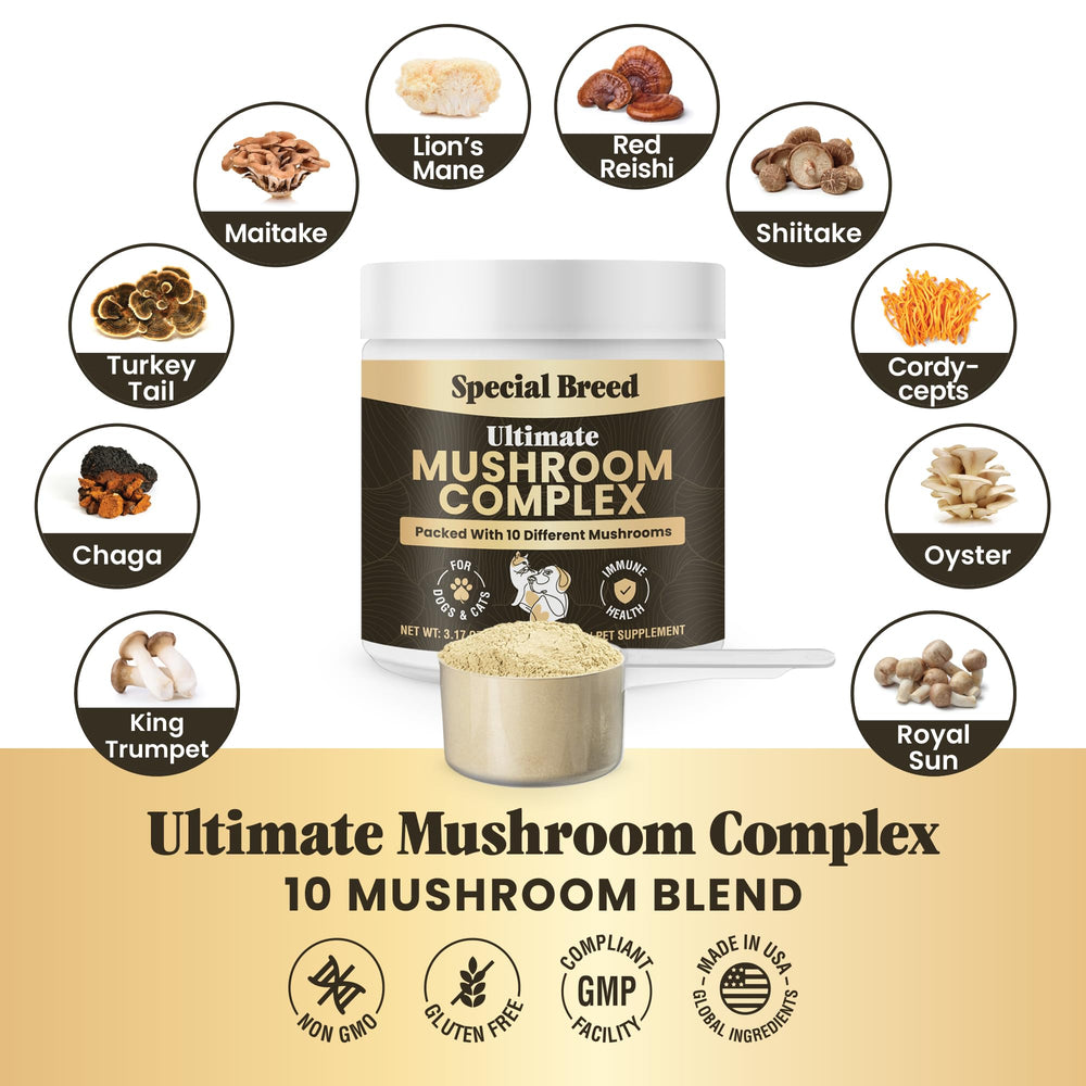 Special Breed powder in dog bowl illustrating simple daily supplementation
