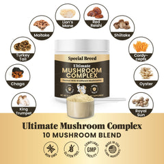 Special Breed powder in dog bowl illustrating simple daily supplementation