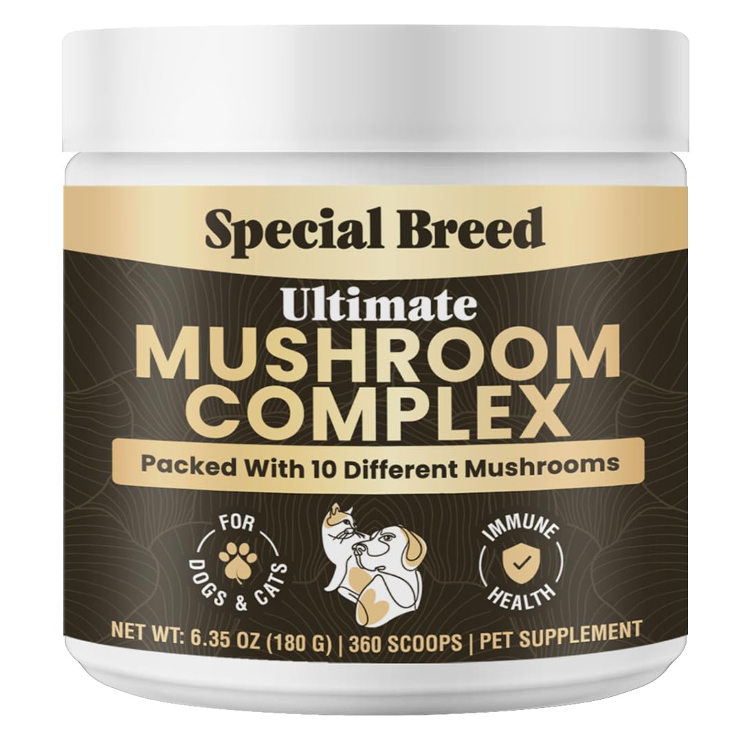 Special Breed mushroom powder bottle label emphasizes organic 10-mushroom blend for pets.